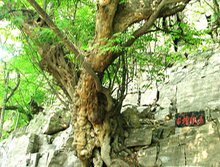 宣纸的规格尺寸是多少