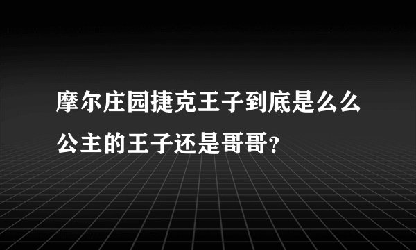 摩尔庄园捷克王子到底是么么公主的王子还是哥哥？