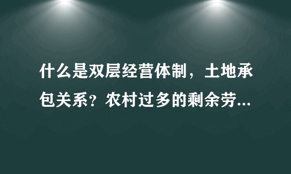 什么是双层经营体制，土地承包关系？农村过多的剩余劳动力对它们有什么影响？