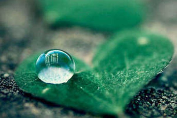 天晴了，雨停了，你又觉得你行了！怎么接他的下一句？