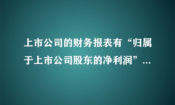 上市公司的财务报表有“归属于上市公司股东的净利润”一项什么意思？