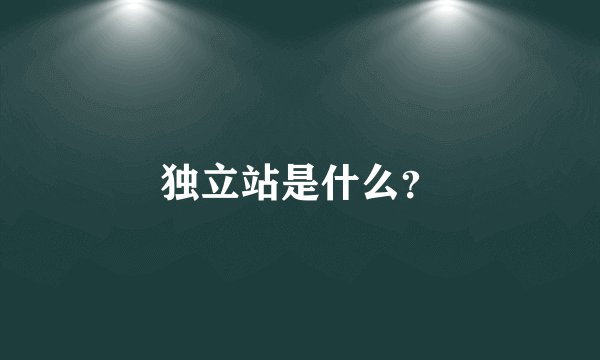 独立站是什么？