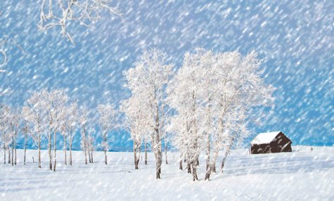 冬天来了,春天还会远吗? 什么含义