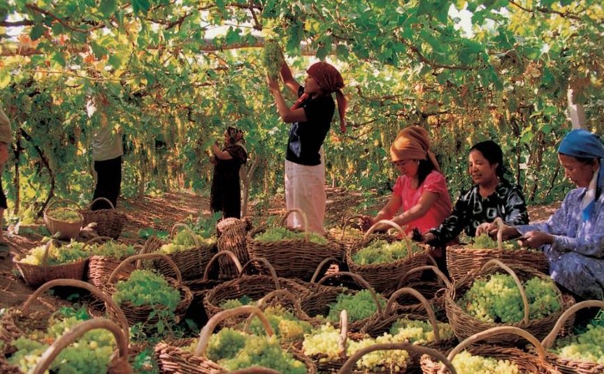 中国最大的省份是哪个省?