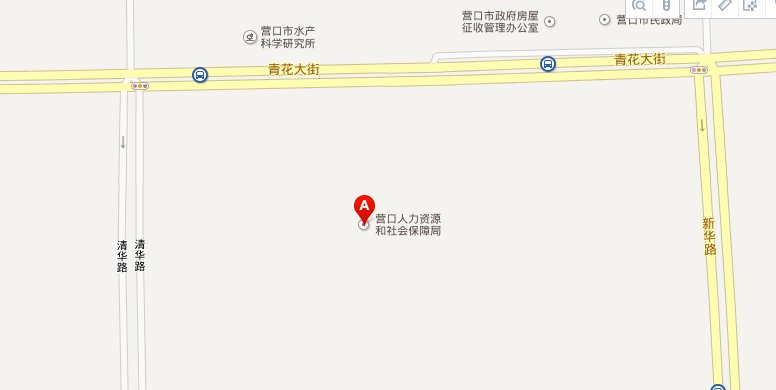 营口市人力资源和社会保障局在哪？