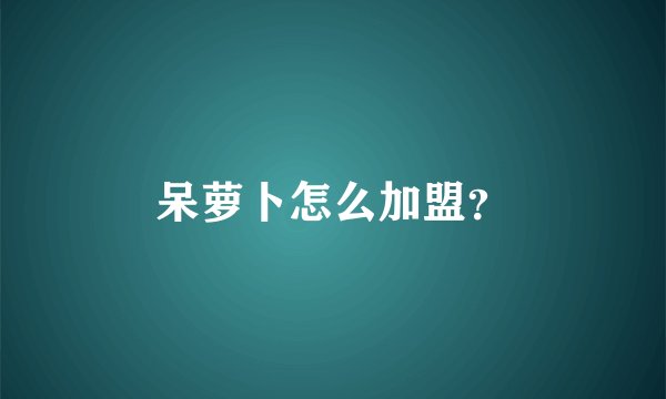 呆萝卜怎么加盟？