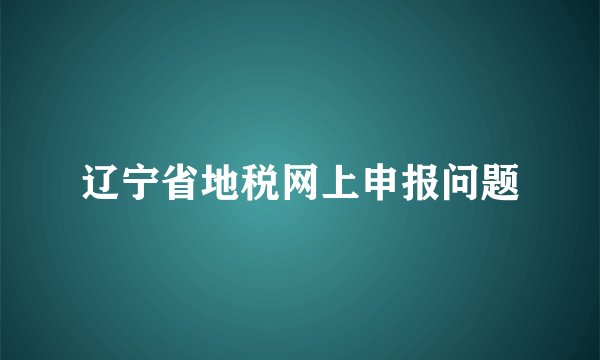 辽宁省地税网上申报问题