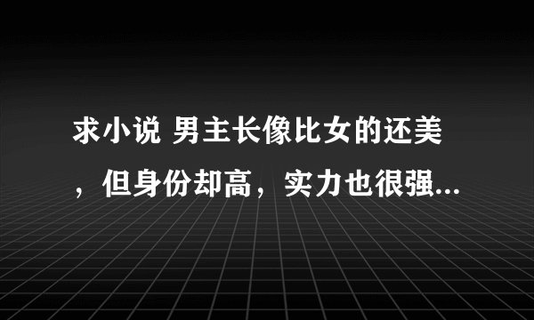 求小说 男主长像比女的还美，但身份却高，实力也很强大，就像音皇之类的