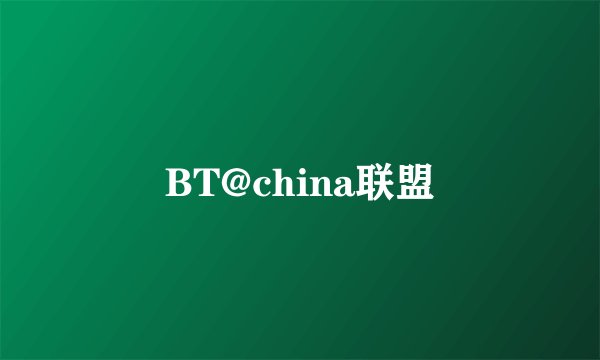 BT@china联盟
