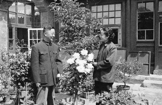 老舍的资料简介30字。