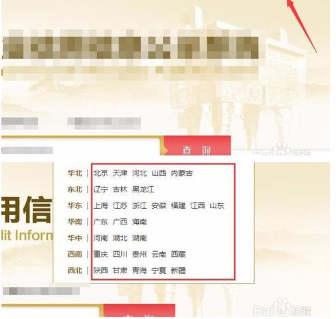 营业执照统一社会信用代码查询