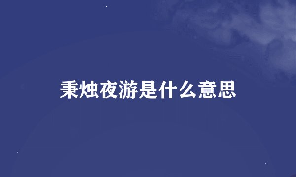 秉烛夜游是什么意思