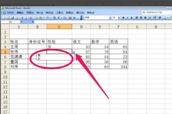 excel如何设置这样的数据有效性？