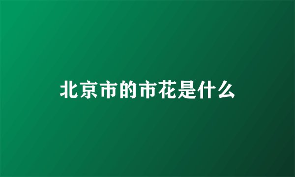 北京市的市花是什么