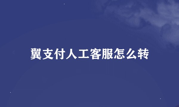 翼支付人工客服怎么转