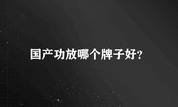 国产功放哪个牌子好？