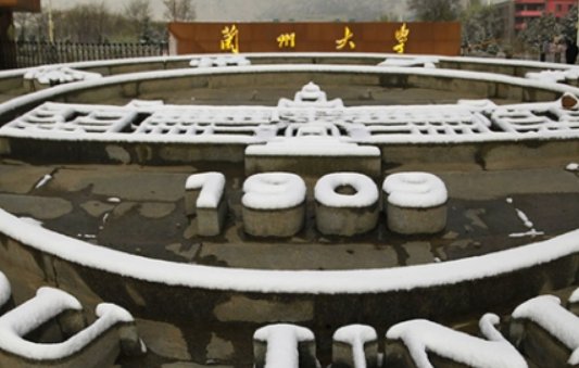 兰州大学真的很强吗？怎么这么多教授对兰大评价如此之高