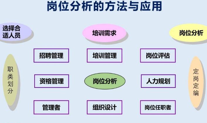 名词解释 职务分析