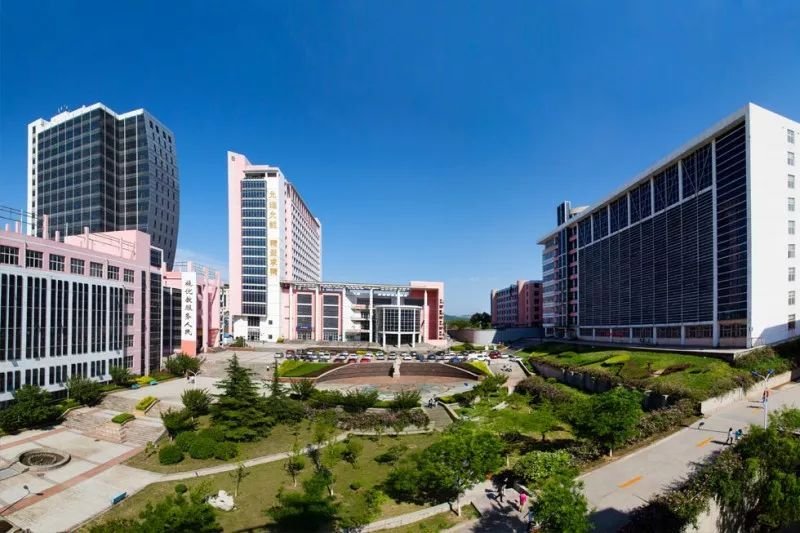 山东大学齐鲁医学院的实力怎么样？毕业后的就业前景好吗？