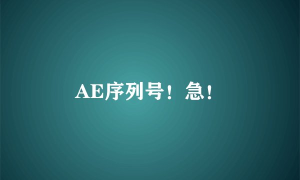 AE序列号！急！