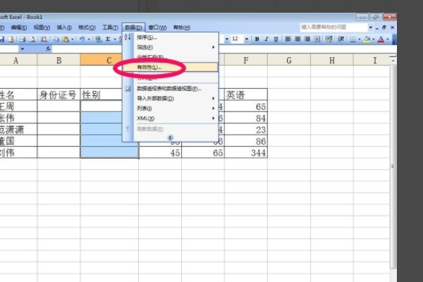 excel如何设置这样的数据有效性？