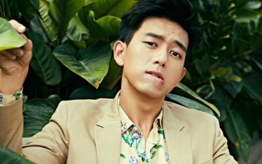 李现出演过《夏至未至》？