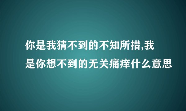 你是我猜不到的不知所措,我是你想不到的无关痛痒什么意思