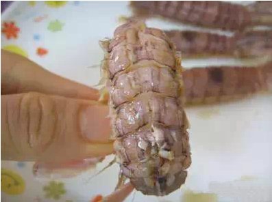 虾爬子怎么扒皮
