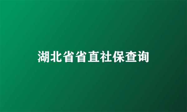 湖北省省直社保查询