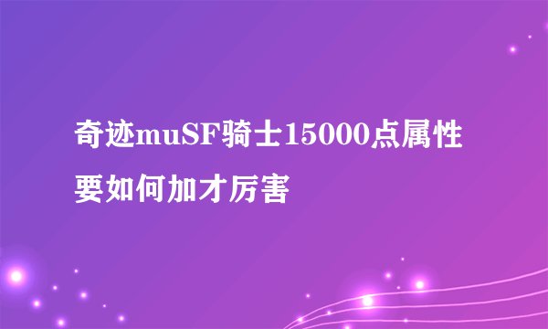 奇迹muSF骑士15000点属性要如何加才厉害