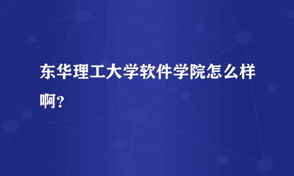 东华理工大学软件学院怎么样啊?