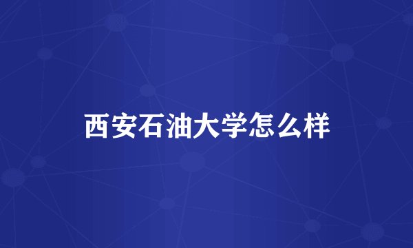 西安石油大学怎么样