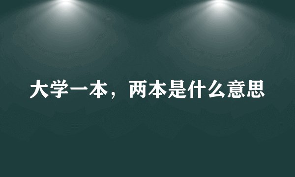 大学一本，两本是什么意思