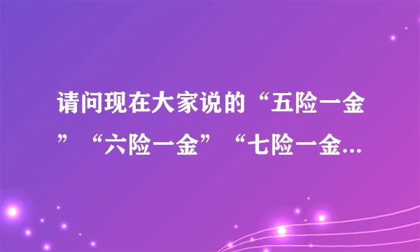 请问现在大家说的“五险一金”“六险一金”“七险一金”…………都具体指的是什么？