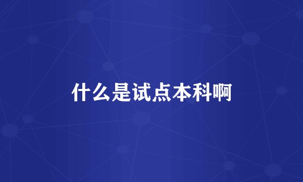 什么是试点本科啊