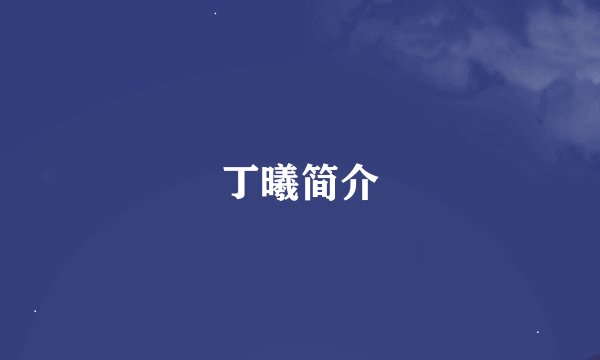 丁曦简介