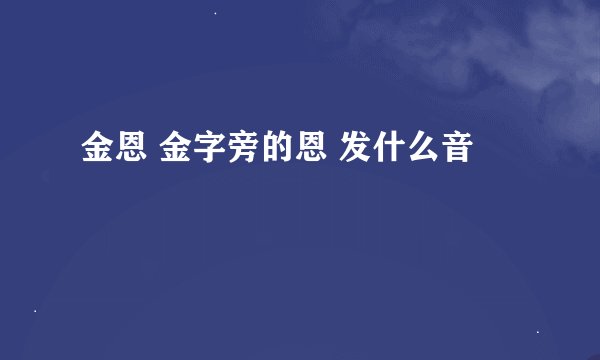 金恩 金字旁的恩 发什么音