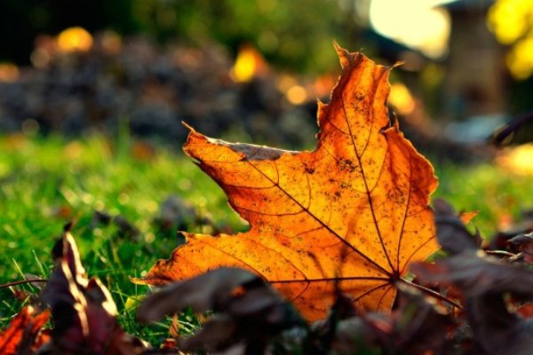 如何解释人生一知己，足以慰风尘中风尘一词的意思？