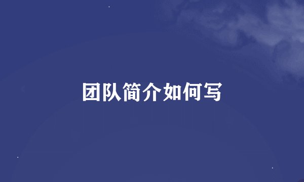 团队简介如何写