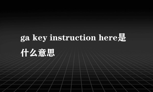 ga key instruction here是什么意思