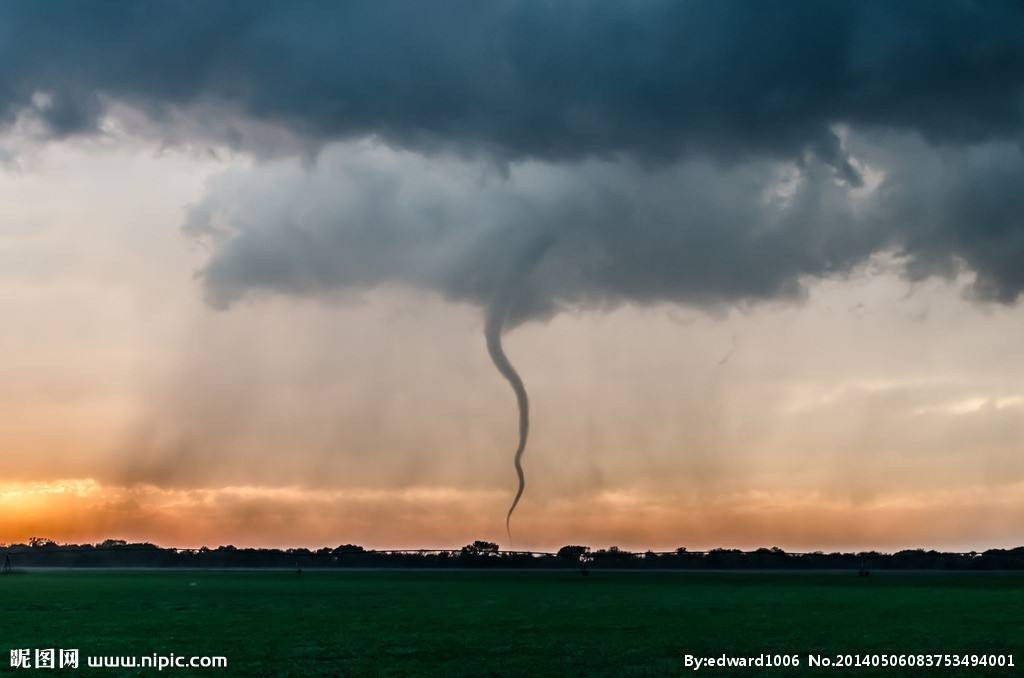 白虎，朱雀，玄武.玄武是什么动物啊，这四个怎么由