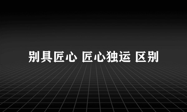 别具匠心 匠心独运 区别