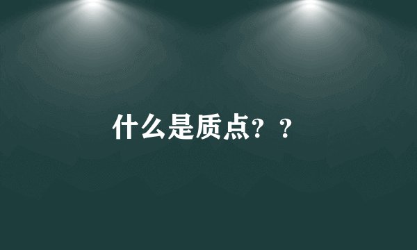 什么是质点？？