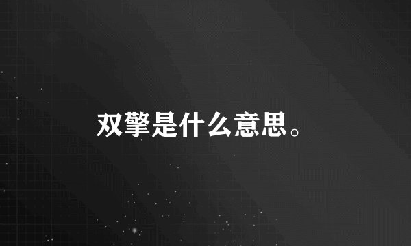 双擎是什么意思。