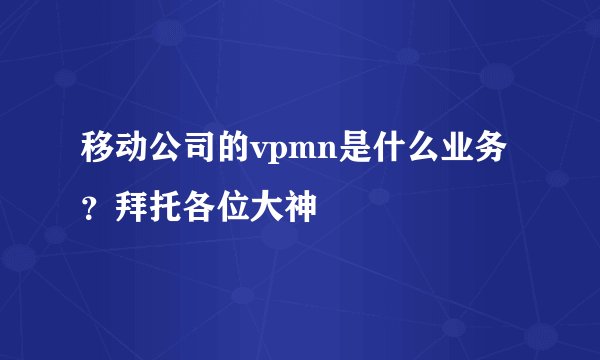 移动公司的vpmn是什么业务？拜托各位大神