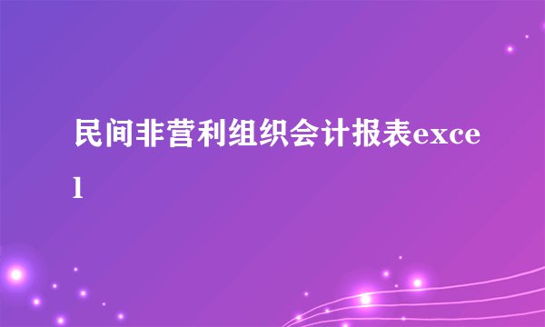 民间非营利组织会计报表excel