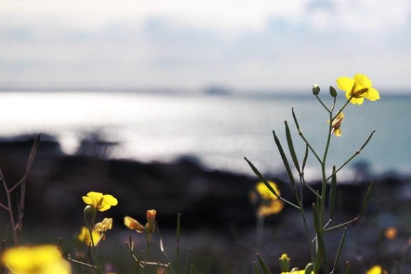 如何解释人生一知己，足以慰风尘中风尘一词的意思？