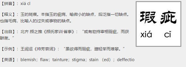 瑕疵是什么意思？