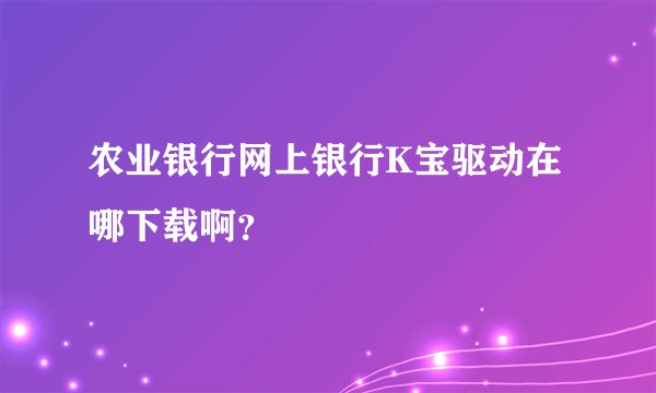 农业银行网上银行K宝驱动在哪下载啊？