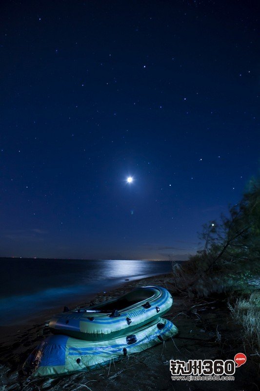 忘忧的出处与详解